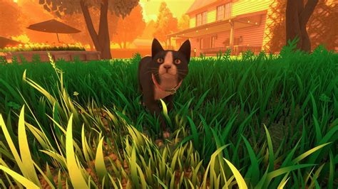 Five new Steam games you probably missed (August 26, 2024).